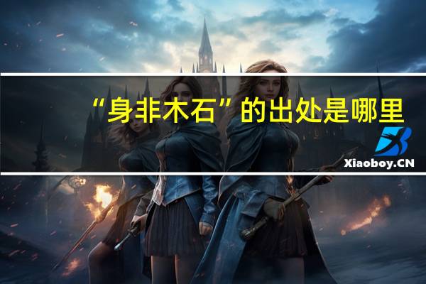 “身非木石”的出处是哪里
