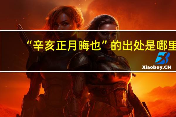 “辛亥正月晦也”的出处是哪里