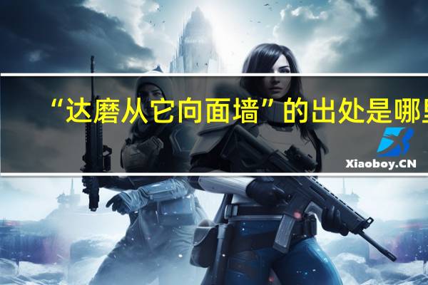 “达磨从它向面墙”的出处是哪里