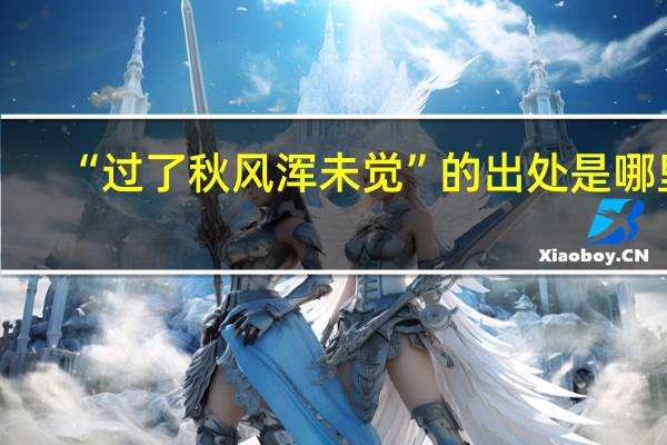 “过了秋风浑未觉”的出处是哪里