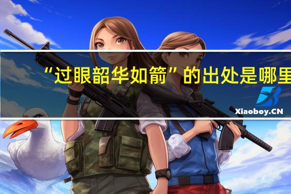 “过眼韶华如箭”的出处是哪里