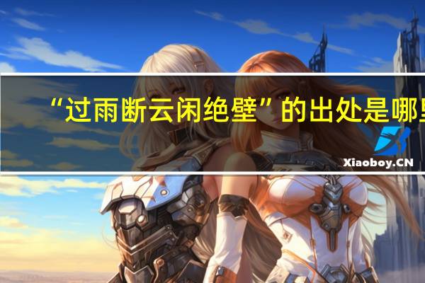 “过雨断云闲绝壁”的出处是哪里
