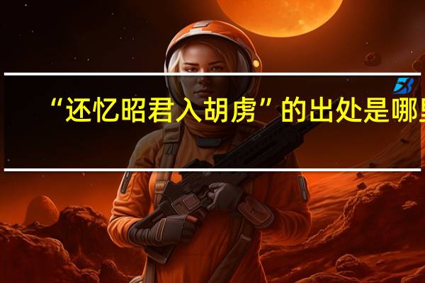 “还忆昭君入胡虏”的出处是哪里