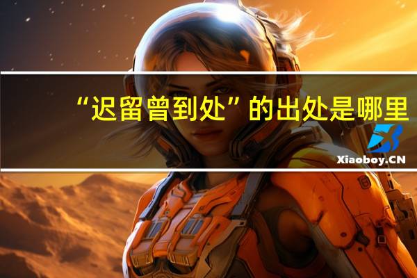 “迟留曾到处”的出处是哪里