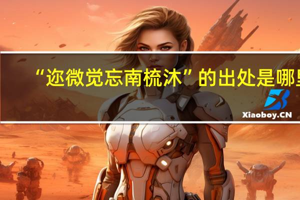 “迩微觉忘南梳沐”的出处是哪里