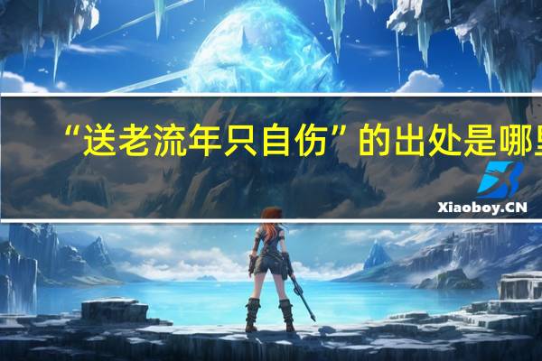 “送老流年只自伤”的出处是哪里