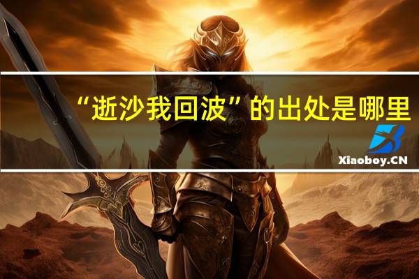 “逝沙我回波”的出处是哪里
