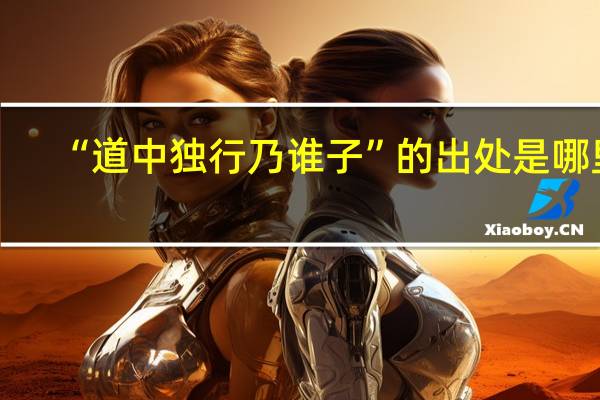“道中独行乃谁子”的出处是哪里