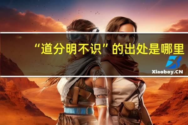 “道分明不识”的出处是哪里