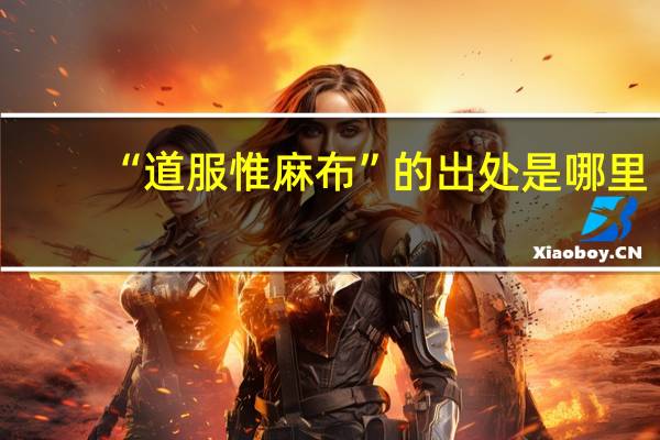 “道服惟麻布”的出处是哪里