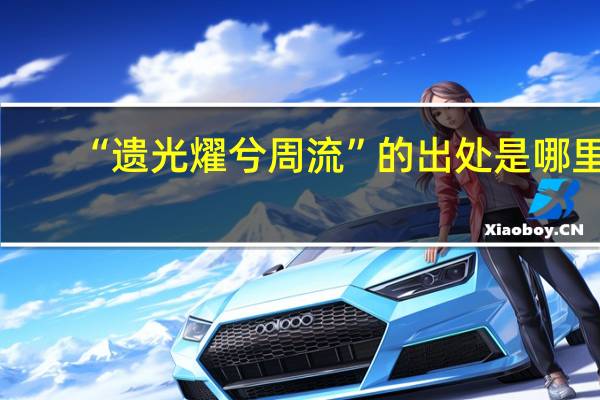 “遗光燿兮周流”的出处是哪里