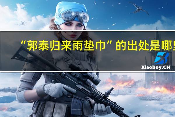 “郭泰归来雨垫巾”的出处是哪里