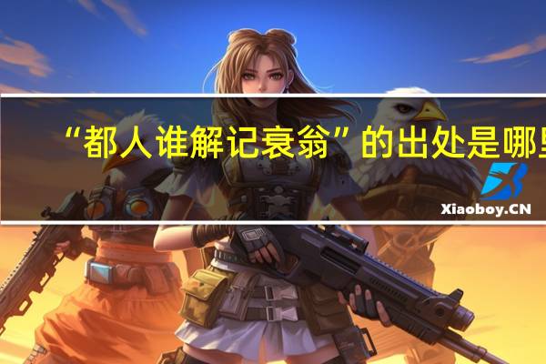 “都人谁解记衰翁”的出处是哪里