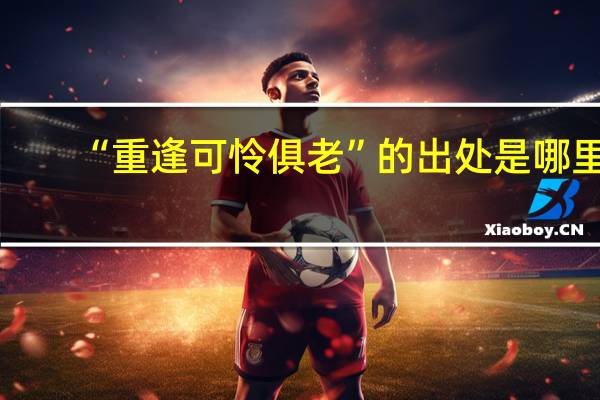 “重逢可怜俱老”的出处是哪里