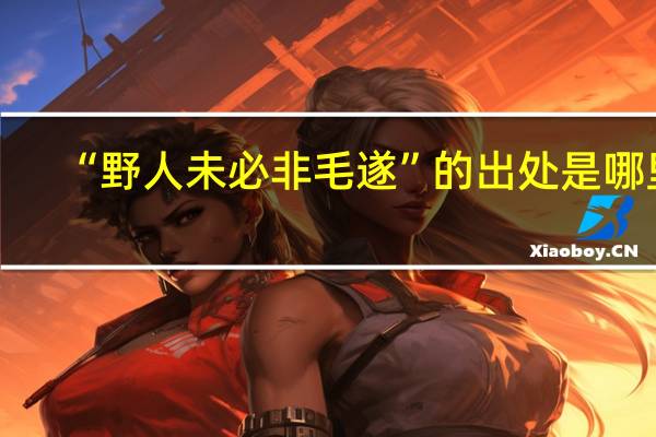 “野人未必非毛遂”的出处是哪里