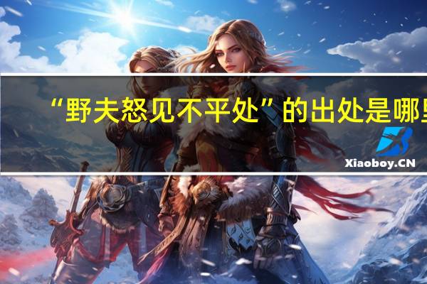 “野夫怒见不平处”的出处是哪里