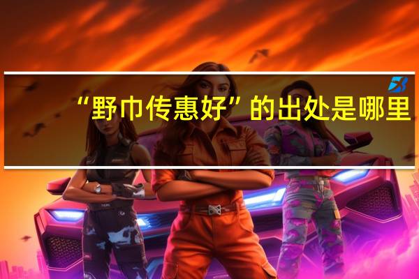 “野巾传惠好”的出处是哪里