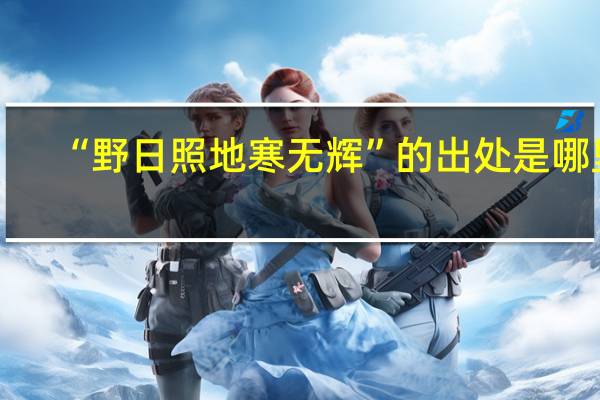 “野日照地寒无辉”的出处是哪里