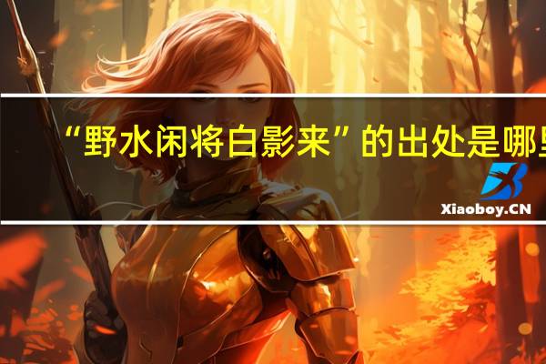 “野水闲将白影来”的出处是哪里