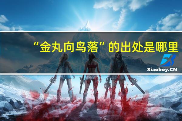 “金丸向鸟落”的出处是哪里