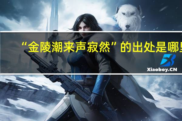 “金陵潮来声寂然”的出处是哪里