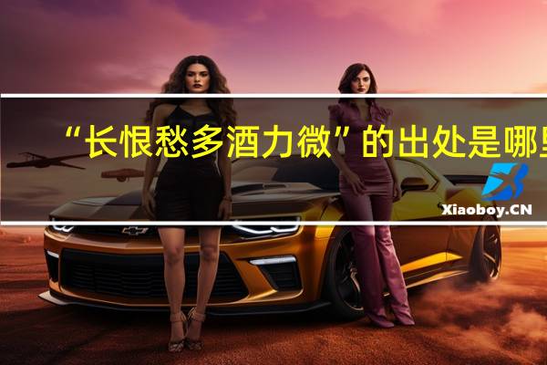 “长恨愁多酒力微”的出处是哪里