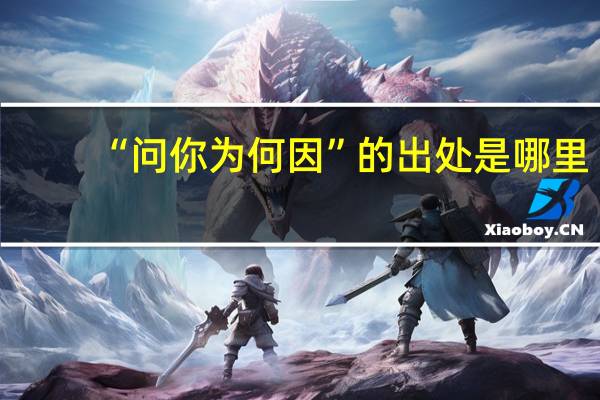 “问你为何因”的出处是哪里