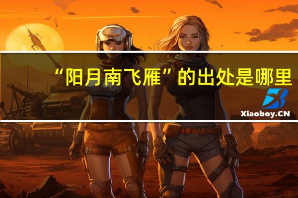 “阳月南飞雁”的出处是哪里