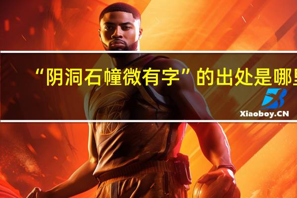 “阴洞石幢微有字”的出处是哪里