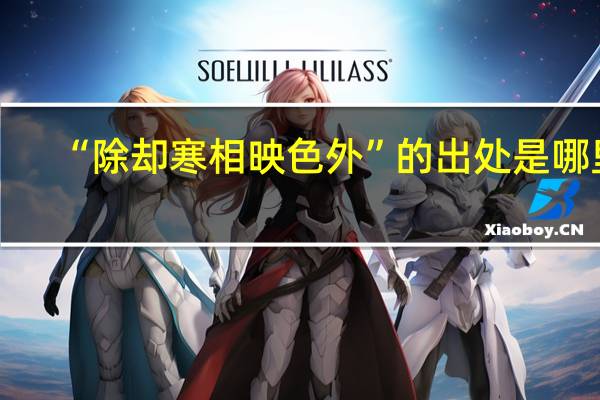 “除却寒相映色外”的出处是哪里