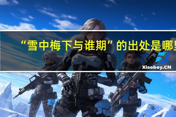 “雪中梅下与谁期”的出处是哪里
