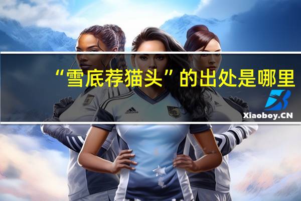 “雪底荐猫头”的出处是哪里