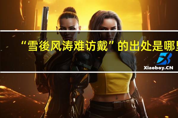 “雪後风涛难访戴”的出处是哪里
