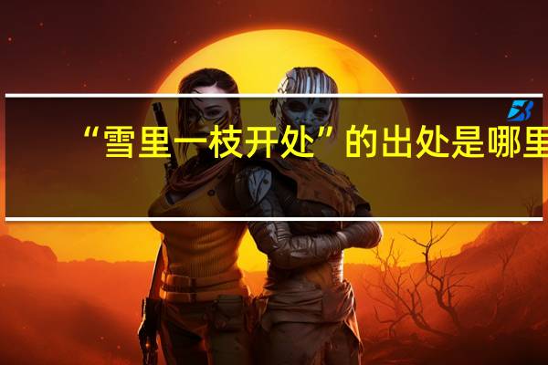 “雪里一枝开处”的出处是哪里