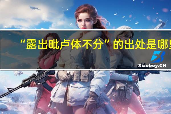 “露出毗卢体不分”的出处是哪里