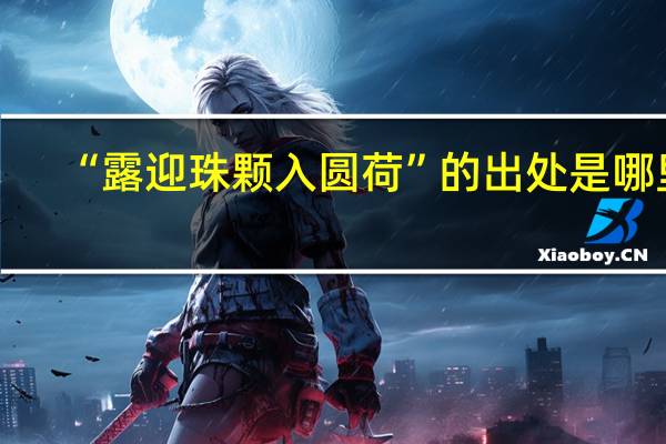 “露迎珠颗入圆荷”的出处是哪里