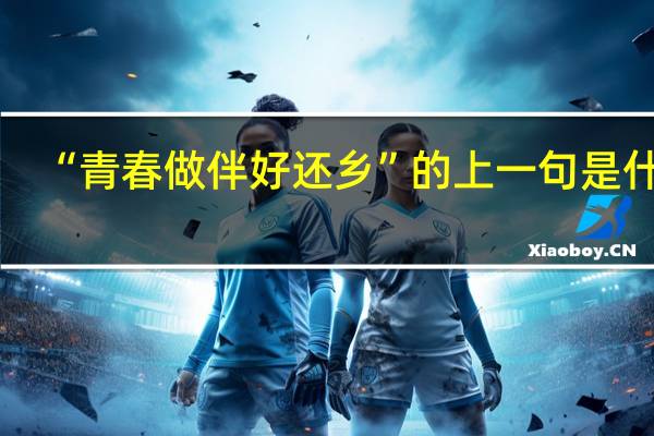 “青春做伴好还乡”的上一句是什么