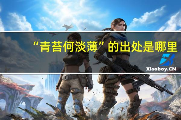 “青苔何淡薄”的出处是哪里