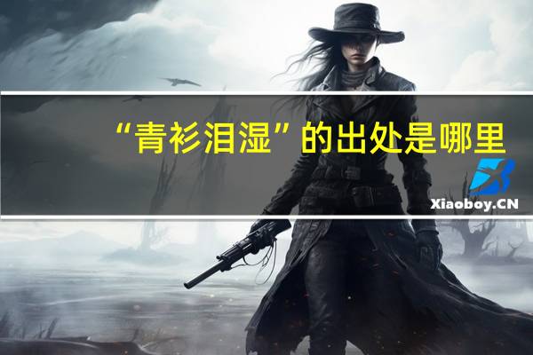 “青衫泪湿”的出处是哪里