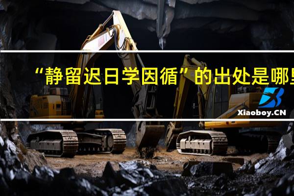 “静留迟日学因循”的出处是哪里