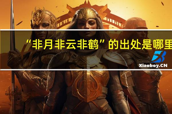 “非月非云非鹤”的出处是哪里