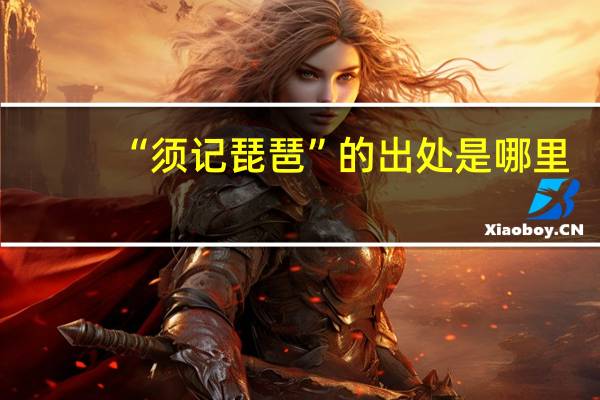 “须记琵琶”的出处是哪里