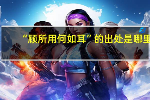 “顾所用何如耳”的出处是哪里
