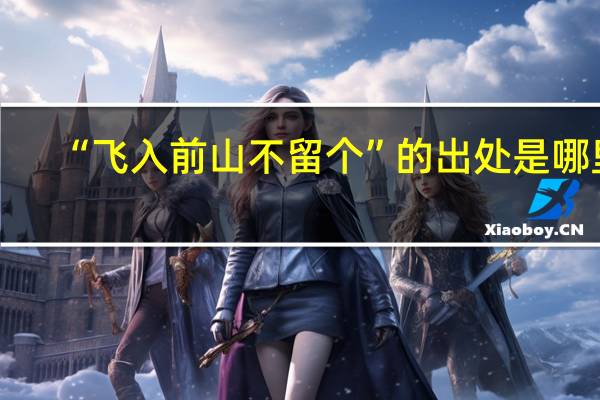 “飞入前山不留个”的出处是哪里
