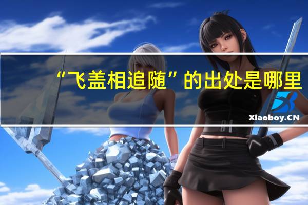 “飞盖相追随”的出处是哪里