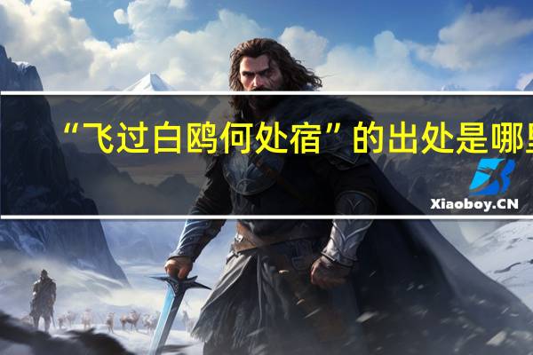 “飞过白鸥何处宿”的出处是哪里