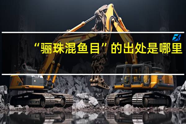 “骊珠混鱼目”的出处是哪里