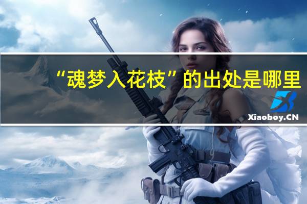 “魂梦入花枝”的出处是哪里