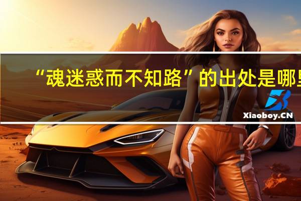 “魂迷惑而不知路”的出处是哪里
