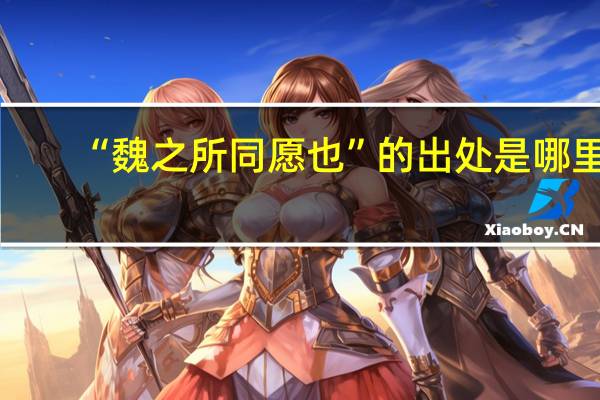 “魏之所同愿也”的出处是哪里